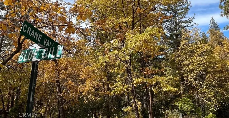 54692 Bluegill, Bass Lake, CA 93604 - #3