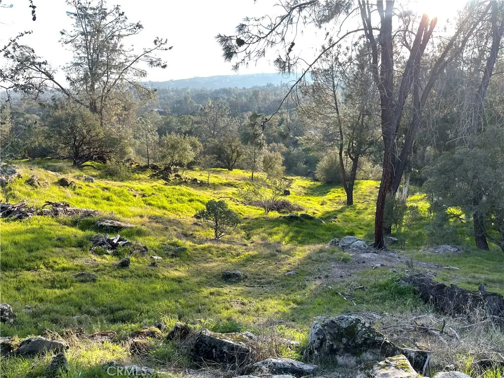 1220 Corral Drive, Coarsegold, CA 93614 - #1