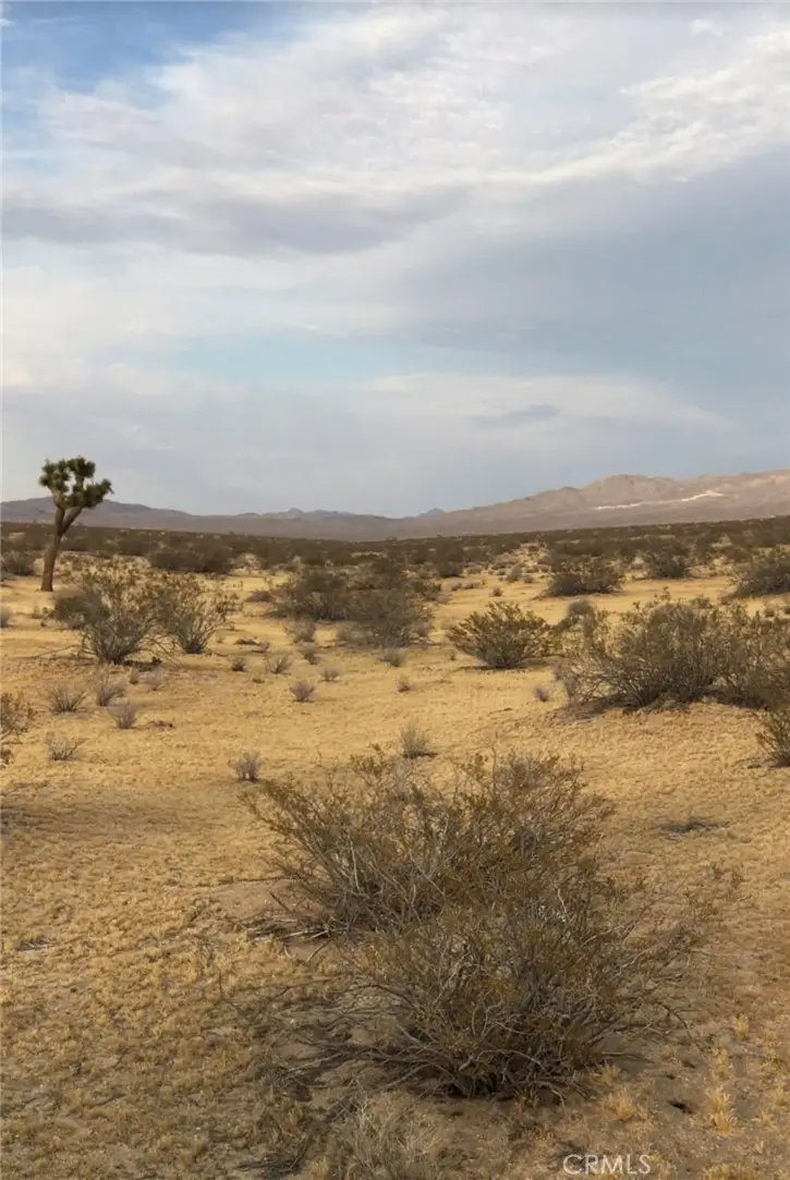 0 Hills Road, Adelanto, CA 92301 - #3