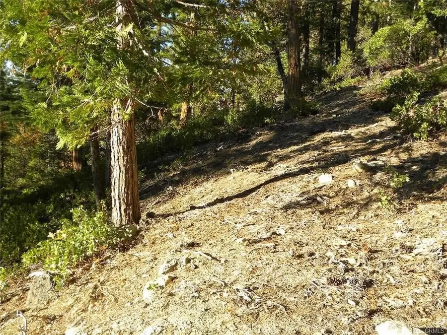 7486 Henness Ridge, Yosemite West, CA 95389 - #2