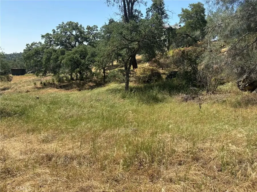 0 Lilley Mountain, Coarsegold, CA 93614 - #3