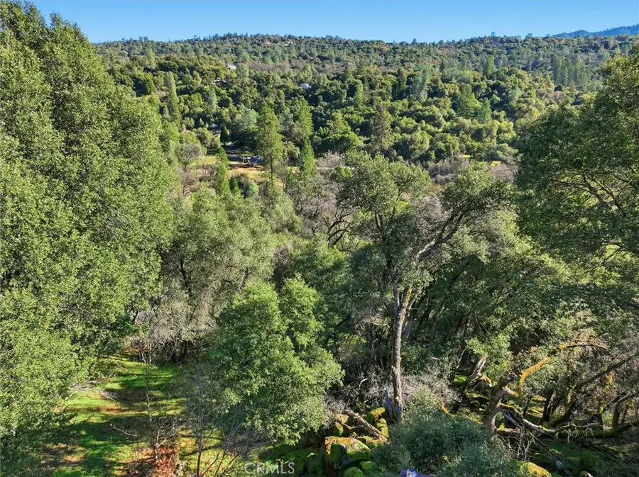 39309 Forest Park Lane, Oakhurst, CA 93644 - #3