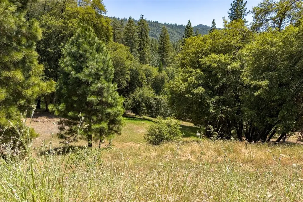 2397 Parmabelle, Mariposa, CA 95338 - #1
