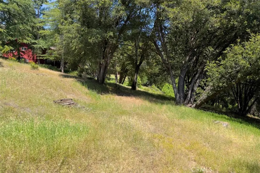 2397 Parmabelle, Mariposa, CA 95338 - #3