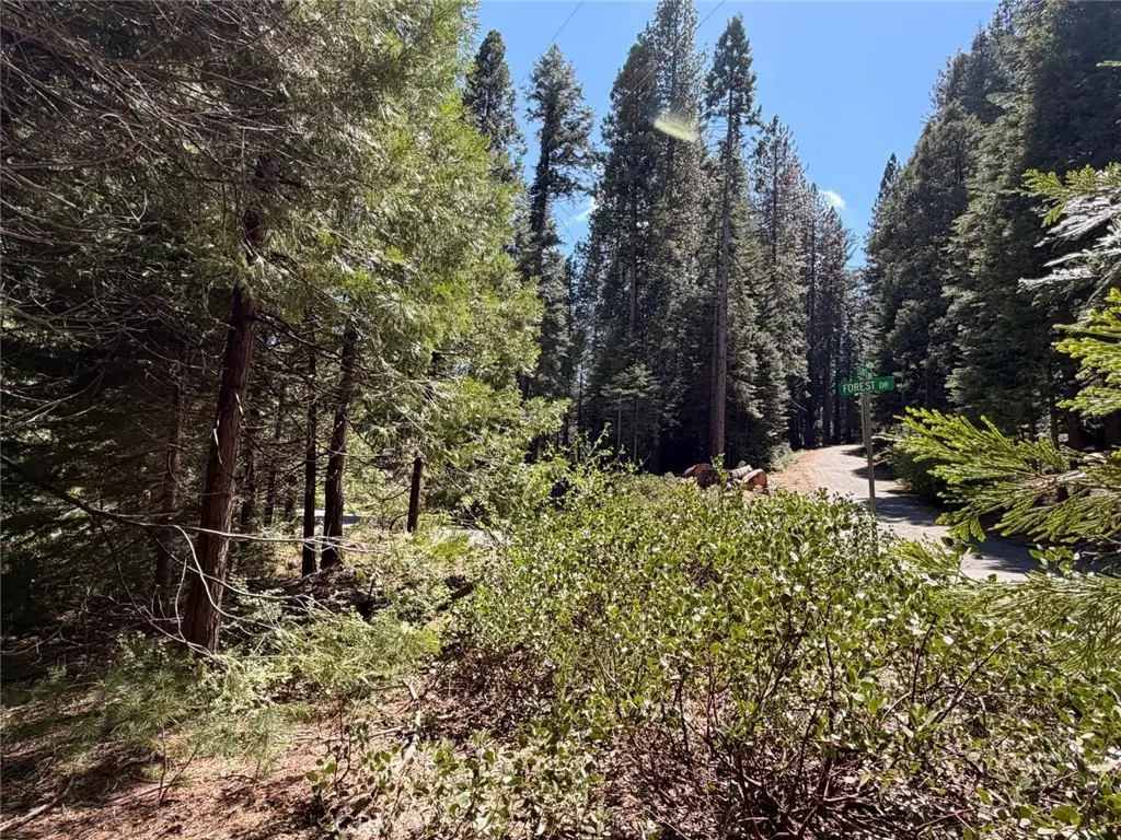 7631 Forest, Fish Camp, CA 93623 - #1