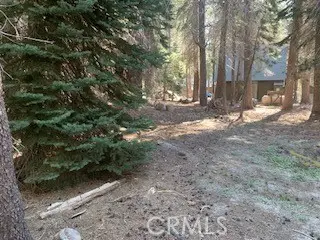 4142 Redtop, Bass Lake, CA 93604 - #2