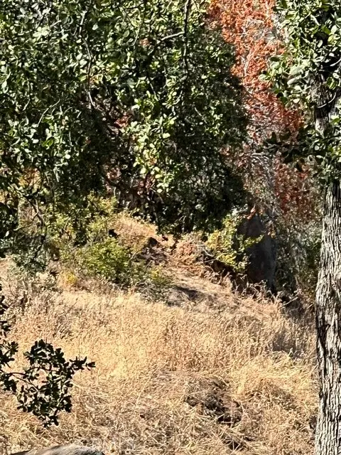 0 Thunderhill, Squaw Valley, CA 93675 - #3