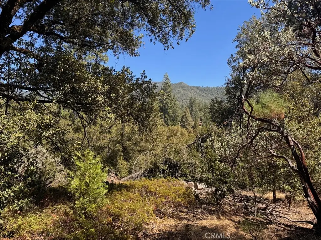 5605 Red Ibis Court, Mariposa, CA 95338 - #1