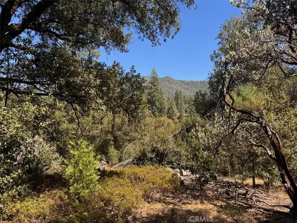 5605 Red Ibis Court, Mariposa, CA 95338