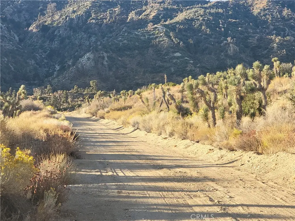 300 E Z12 Street, Llano, CA 93544 - #1