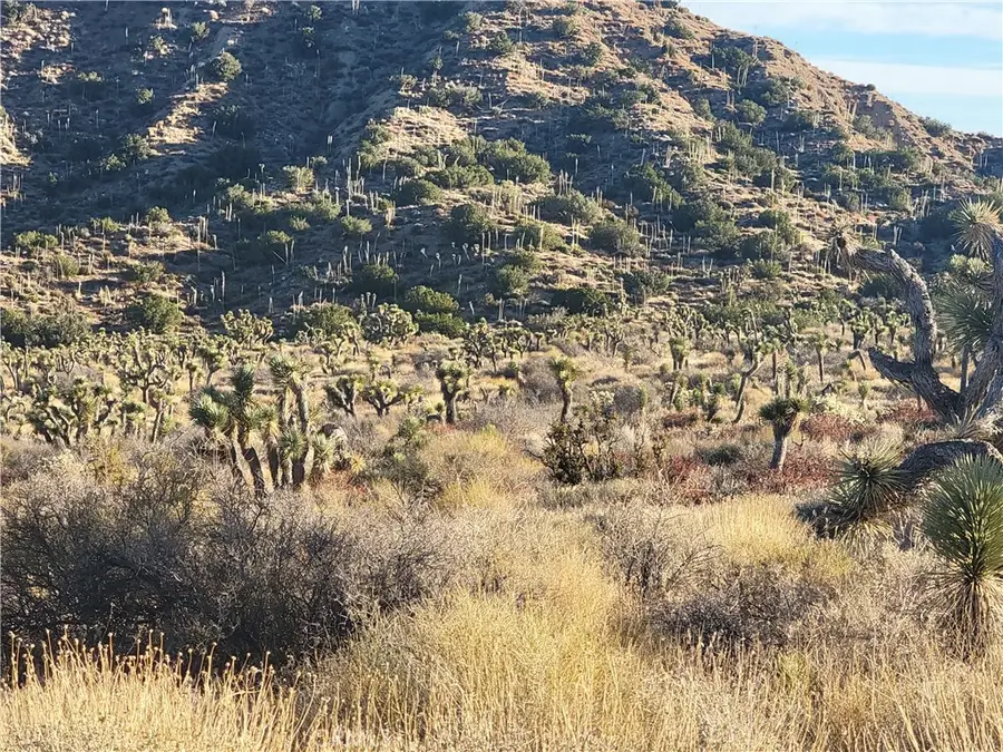 300 E Z12 Street, Llano, CA 93544 - #2
