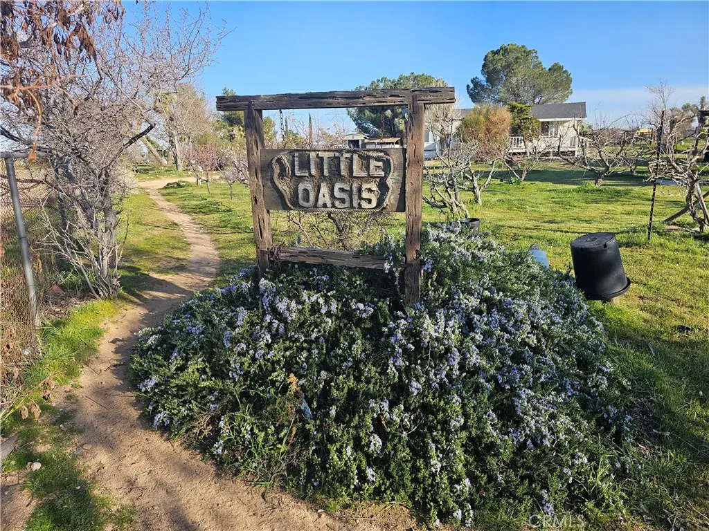 9878 Wilson Ranch, Phelan, CA 92371 - #1