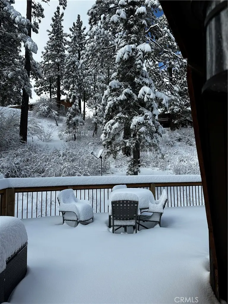 43433 Primrose Court, Big Bear Lake, CA 92315 - #2