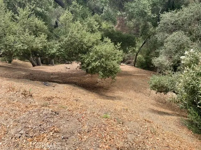 0 Graceland Way, Glendale, CA 91206 - #1