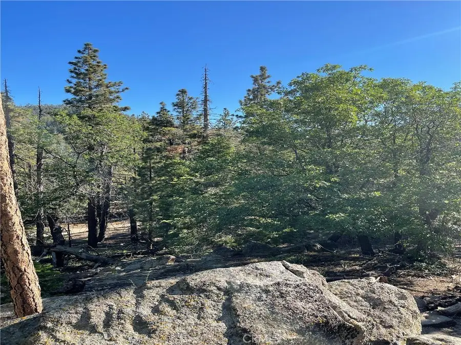 15328043 Piute Pines Rise, Caliente, CA 93518 - Image #3