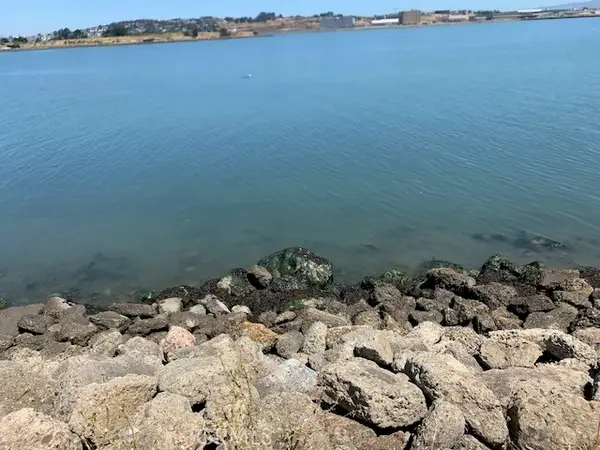 0 Ingerson Avenue, San Francisco, CA 94124