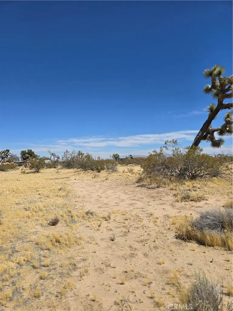 0 Otter Avenue, Adelanto, CA 92301 - #2