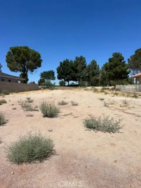 14910 Fireside Lane, Helendale, CA 92342 - Image #2