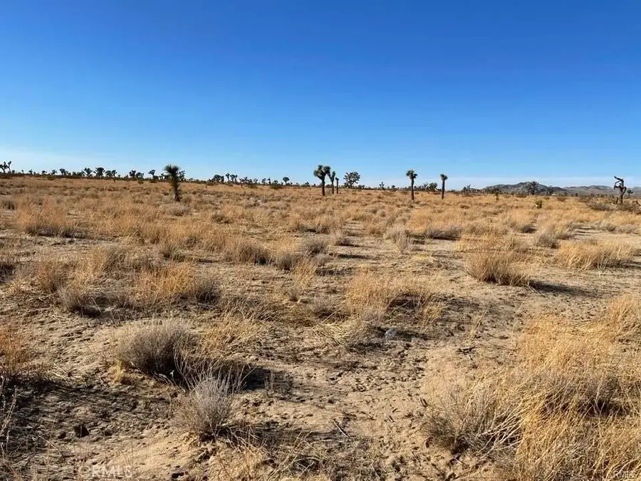 0 - Vinton Road, Adelanto, CA 92301 - #2