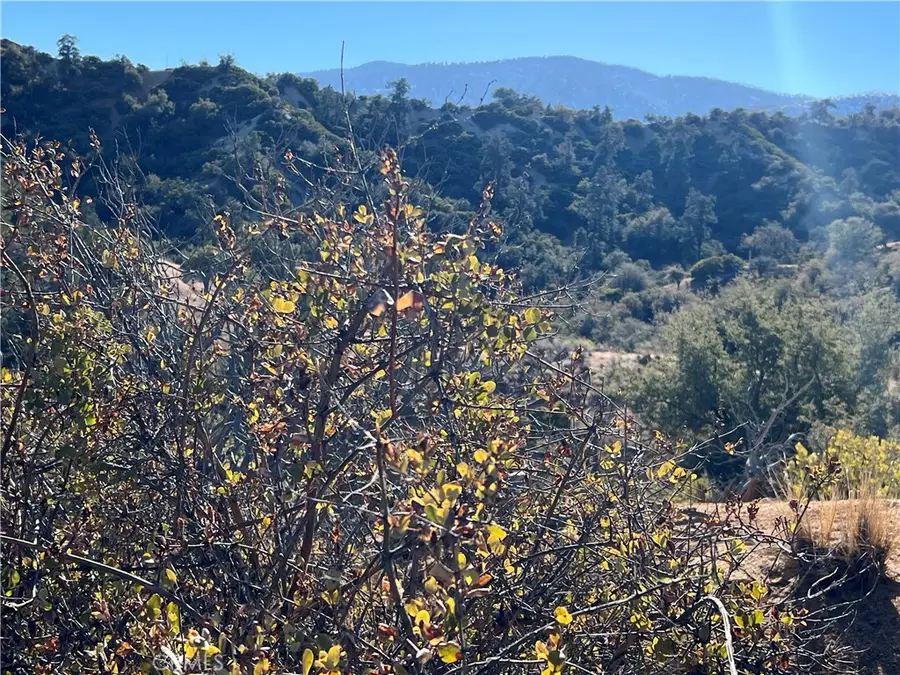 0 Whispering Pines Road, Pinon Hills, CA 92372 - Image #2