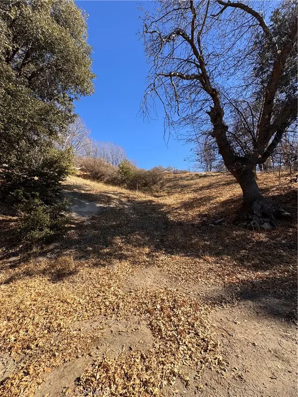 29685 Hickory Drive, Cedar Glen, CA 92321