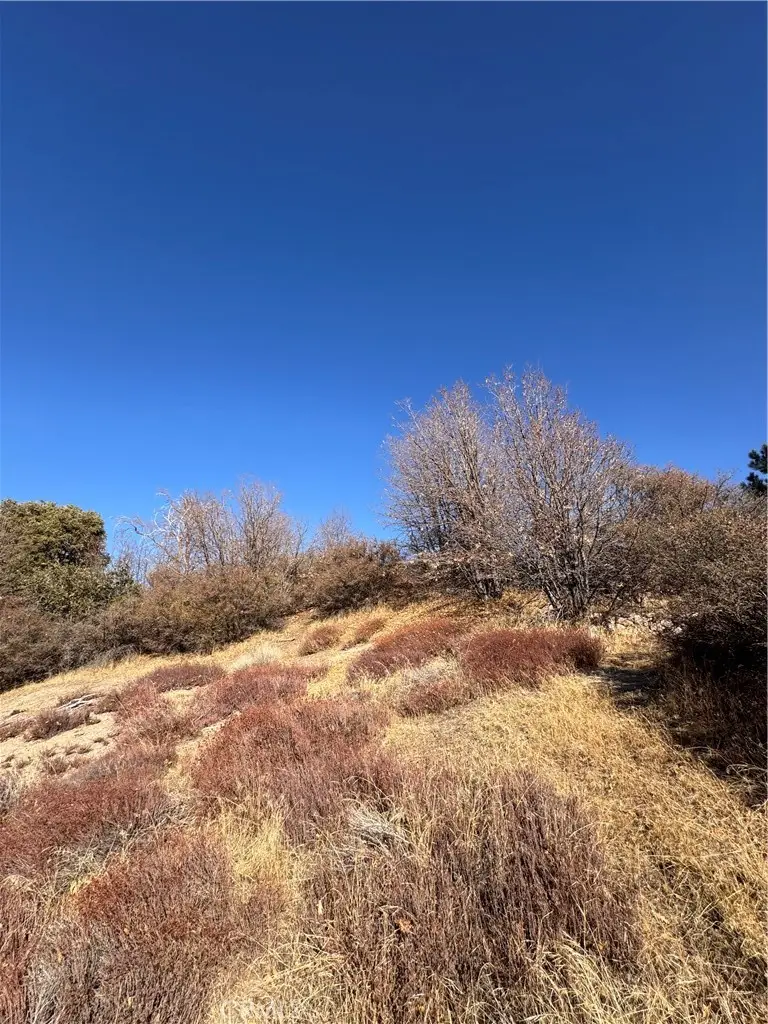 29685 Hickory Drive, Cedar Glen, CA 92321 - Image #3