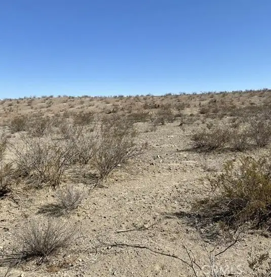 154 Rattlesnake Gulch, Oro Grande, CA 92368 - Image #2