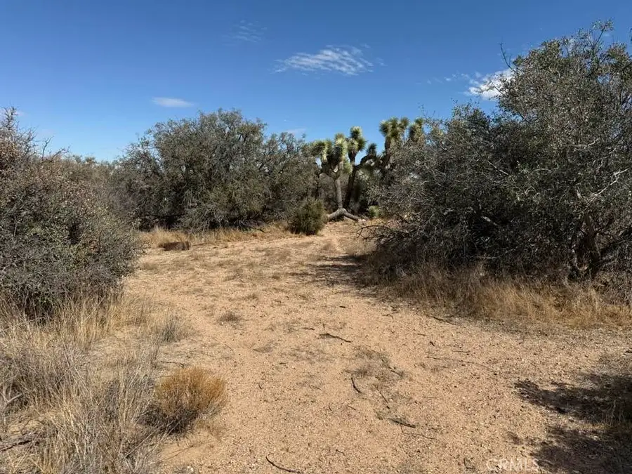 8135 Joshua Street, Phelan, CA 92371 - Image #3