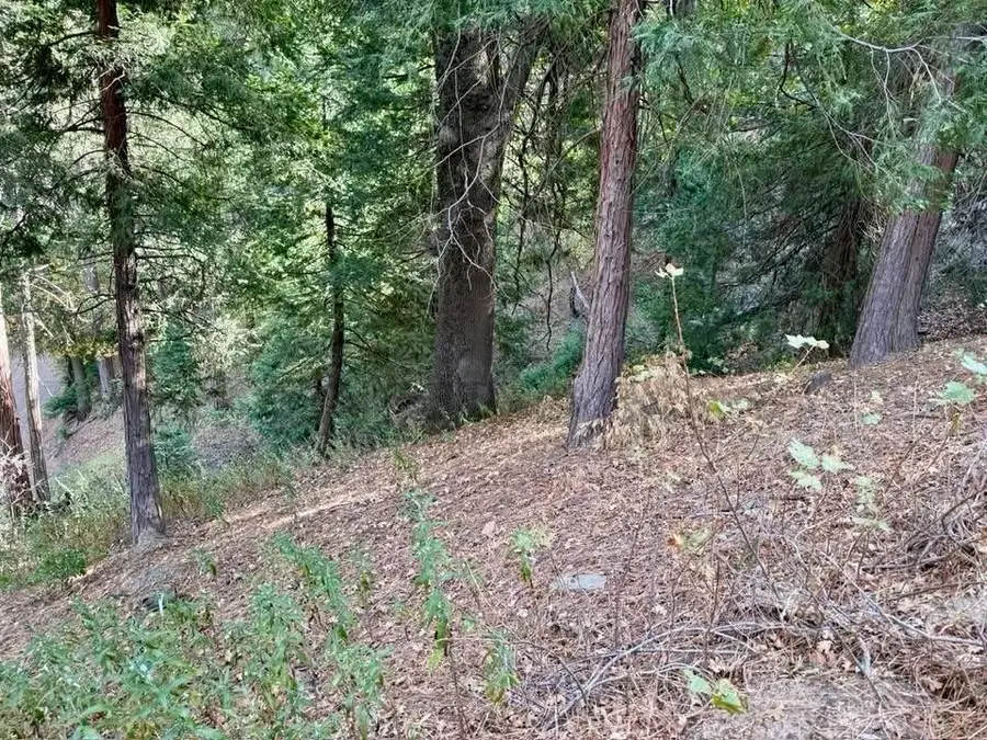 0 Burnt Mill Canyon Road, Cedarpines Park, CA 92322 - Image #3