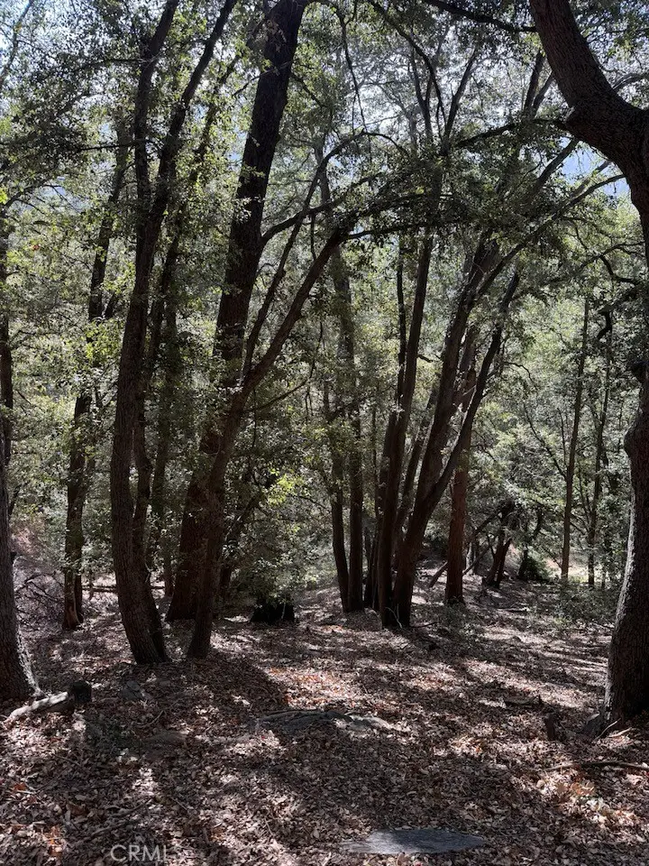 0 343-061-27-000, Cedarpines Park, CA 92322 - Image #1