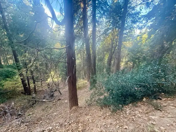 61 Lot - El Valle Road, Cedarpines Park, CA 92322
