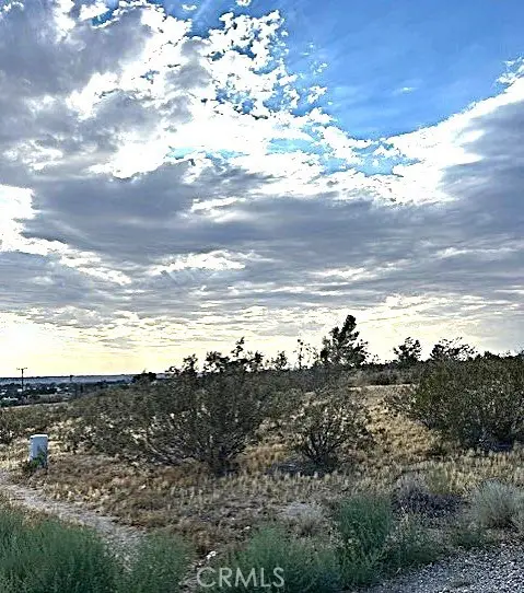 19446 Shoshonee Road, Apple Valley, CA 92307 - #3