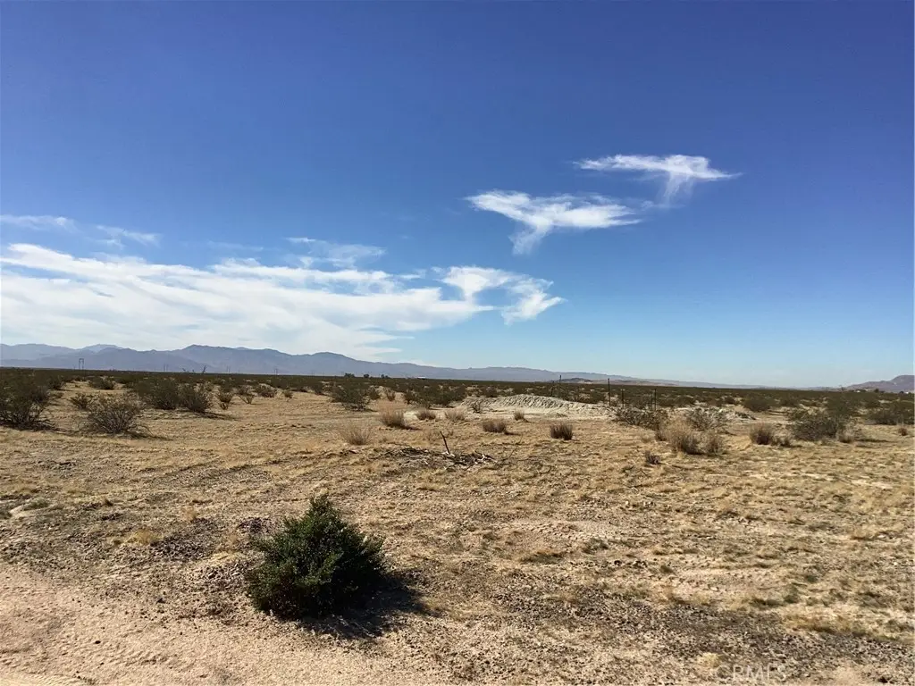 40 Alvord Mountain Rd, Newberry Springs, CA 92365 - #1