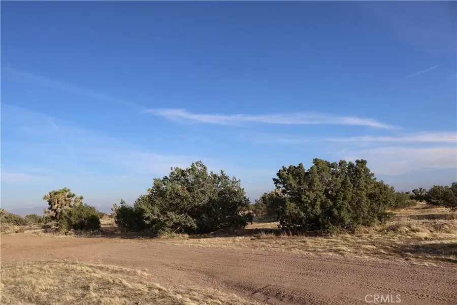 9955 Macron Street, Oak Hills, CA 92344 - Image #2