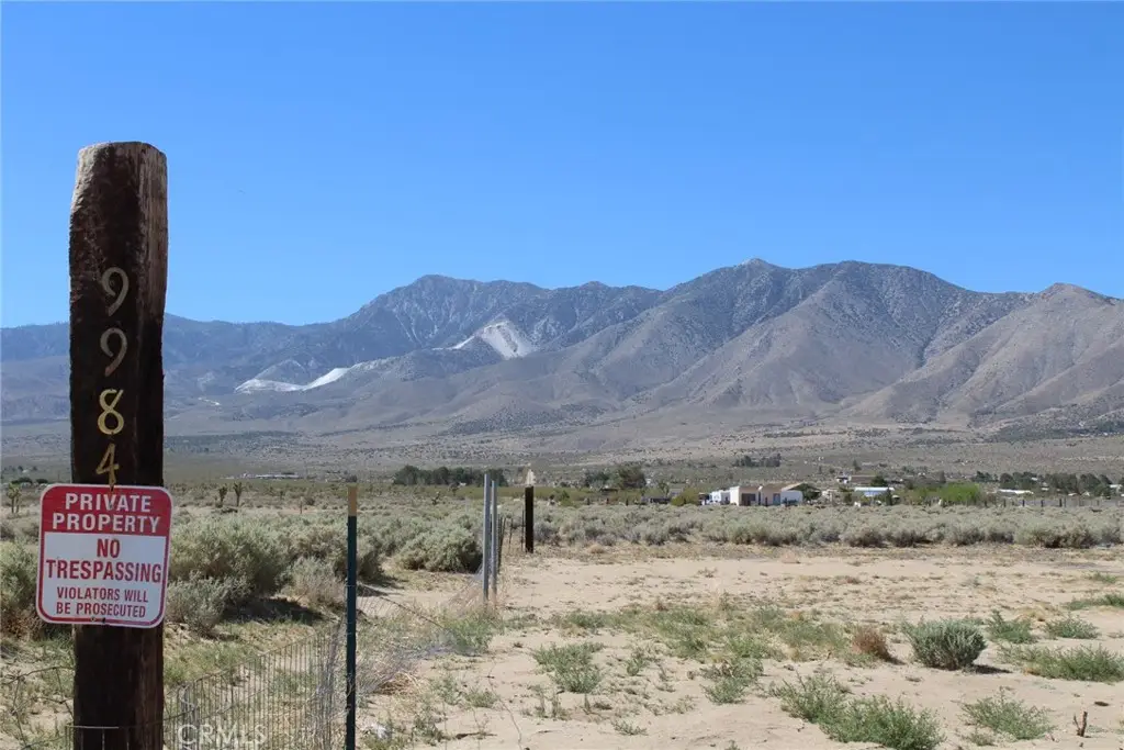 9984 Alamo Avenue, Lucerne Valley, CA 92356 - #1