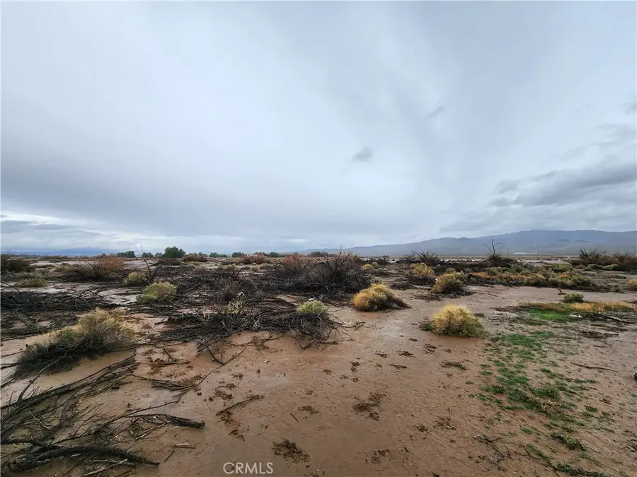 20 AC Morgan Lane, Newberry Springs, CA 92356 - Image #3