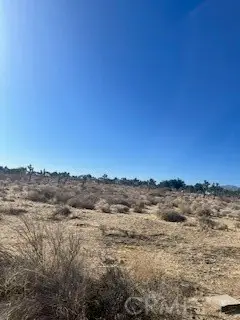 0 Pine Tree Road, Pinon Hills, CA 92372