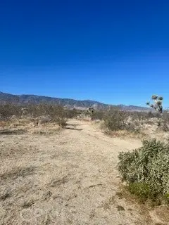 0 Pine Tree Road, Pinon Hills, CA 92372 - Image #3