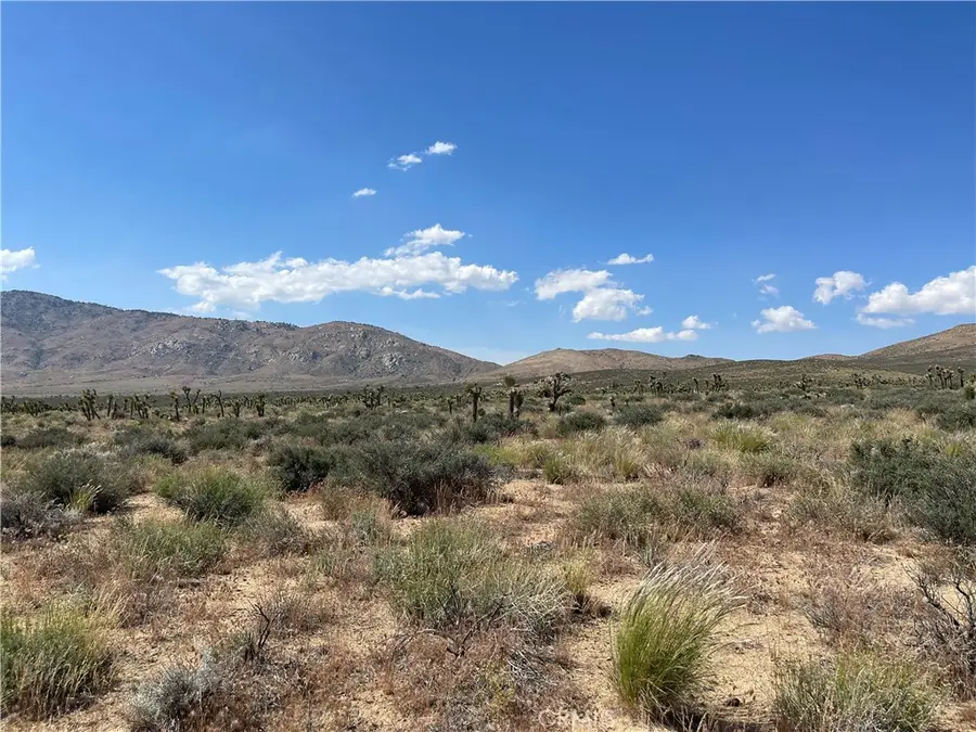 15310023 Kelso Valley Road, Weldon, CA 93283 - Image #3