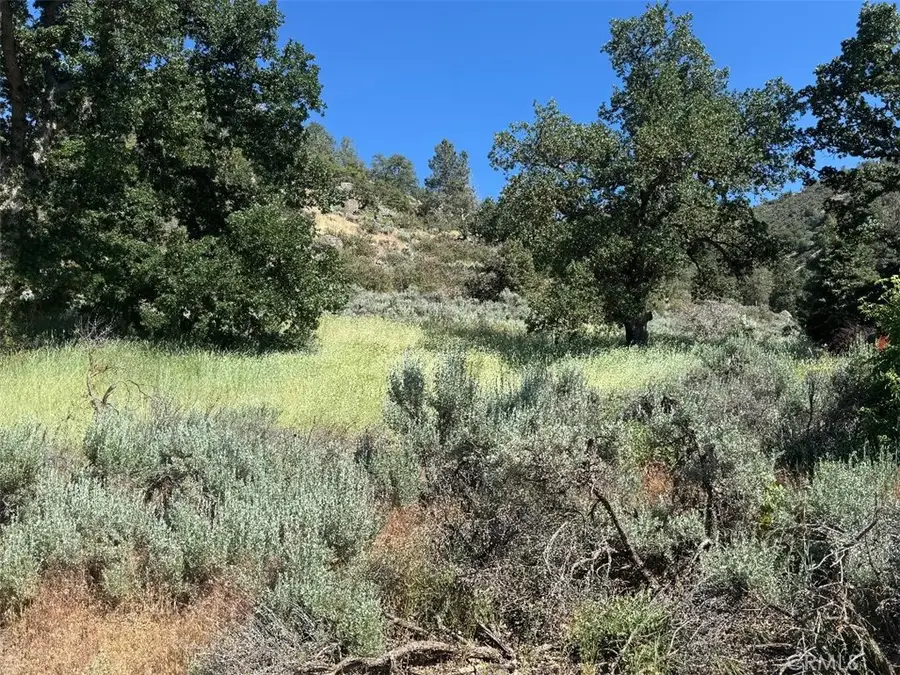 0 Butterfield Way, Bear Valley Springs, CA 93561 - Image #2