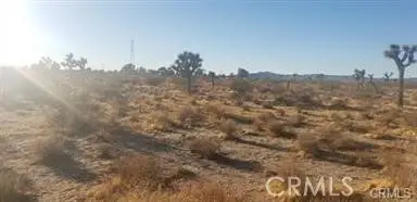 6 Near Racoon Ave Street, Adelanto, CA 92301 - Image #1