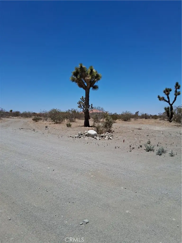 0 Danbury Road, Phelan, CA 92371 - Image #3