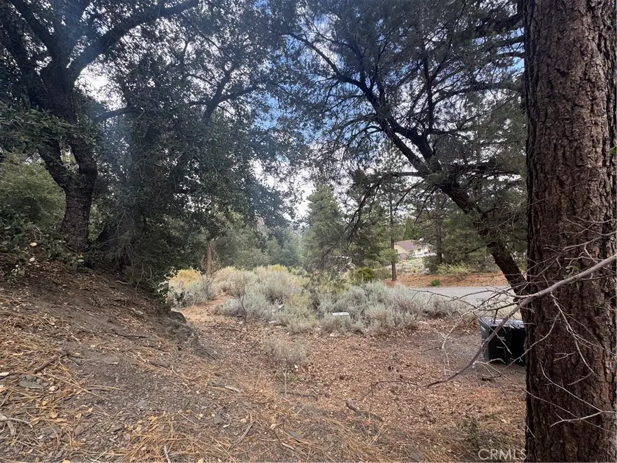 1772 Ash Road, Wrightwood, CA 92397 - Image #2