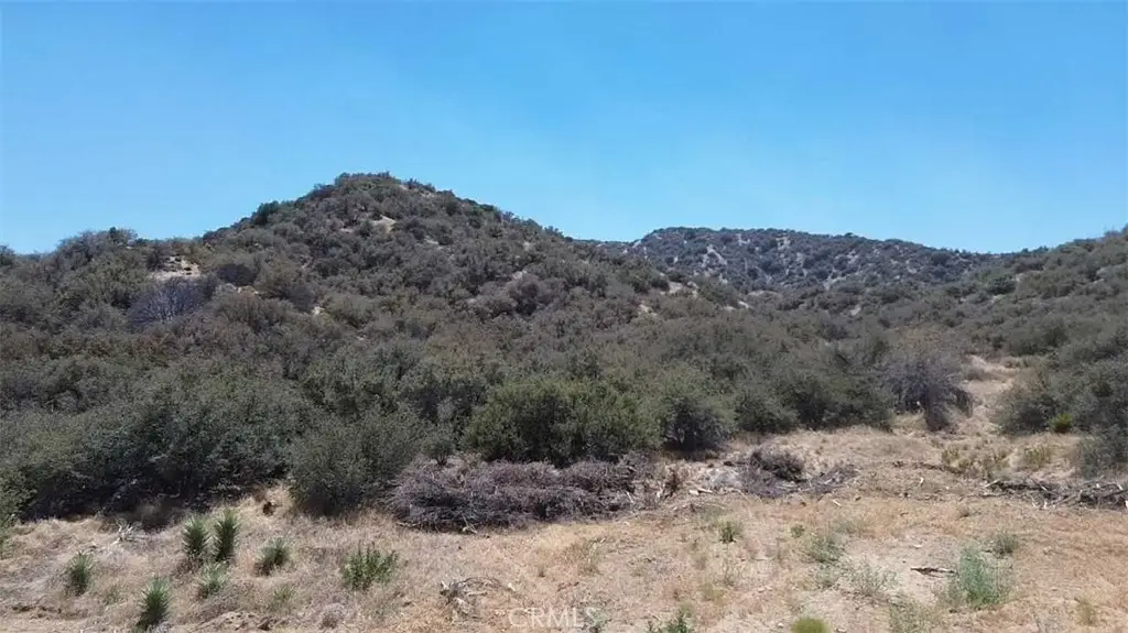 0 Mountain Springs Road, Wrightwood, CA 92397 - #1