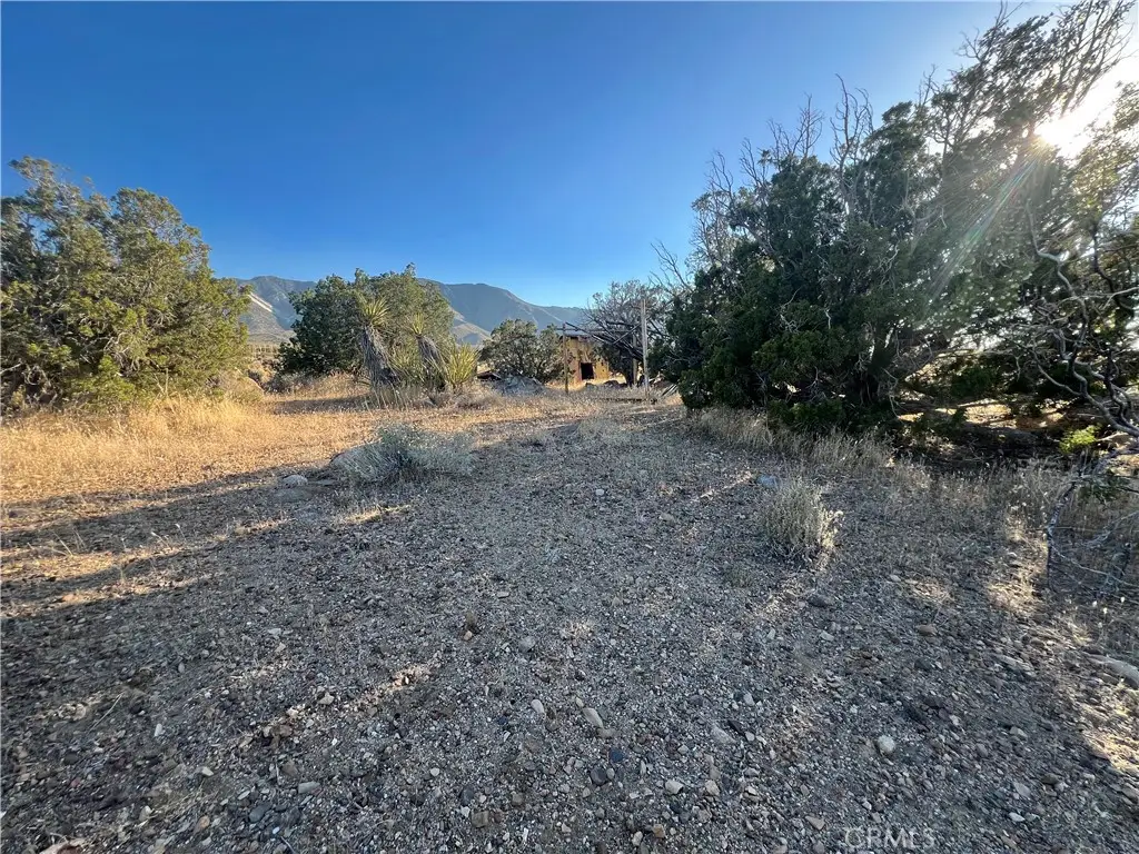 776 Silver Creek Canyon (near) Road, Lucerne Valley, CA 92356 - #1