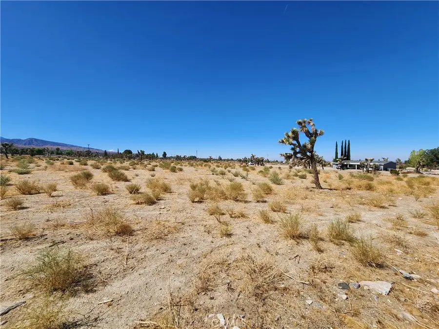 11226 Primavera Road, Pinon Hills, CA 92372 - Image #3