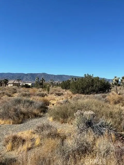 0 Calaveras, Pinon Hills, CA 92372 - Image #2