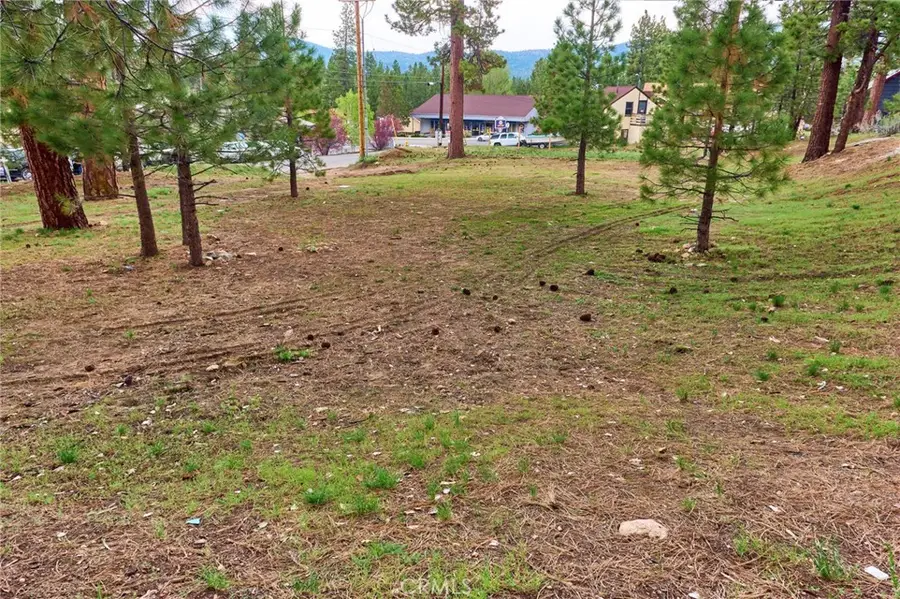 545 545 Wren Drive, Big Bear Lake, CA 92315 - Image #2