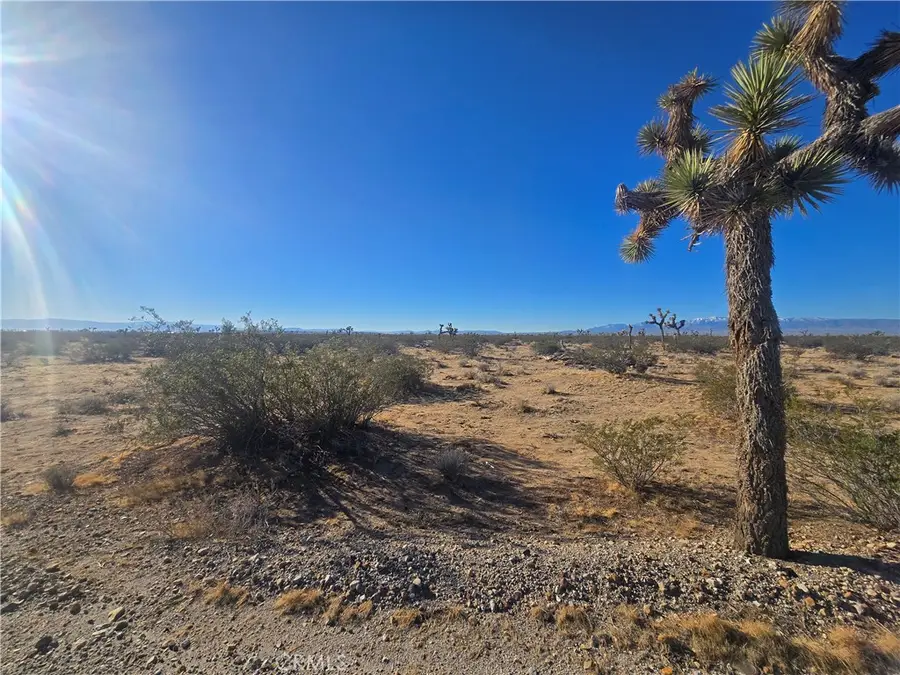 11955 Coronado Avenue, Adelanto, CA 92301 - Image #2