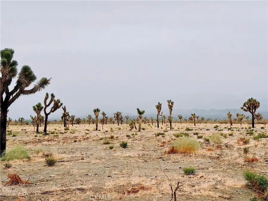 12452 Golden View, Pinon Hills, CA 92372 - Image #2